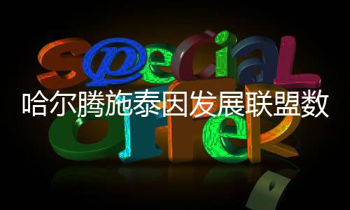 哈尔腾施泰因发展联盟数据抢眼被火箭召回 与周琦实力对比