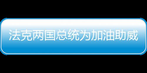 法克两国总统为加油助威世界杯决赛放弃北约峰会