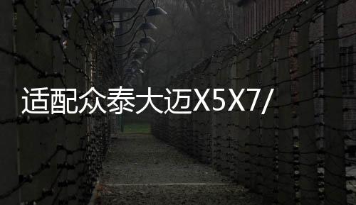 适配众泰大迈X5X7/T500T600Z700SR7原装60AH汽车电瓶瓦尔塔蓄电池