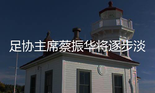 足协主席蔡振华将逐步淡出国内足球界