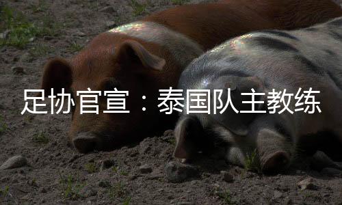 足协官宣：泰国队主教练被解雇 下课原因始末及接替者