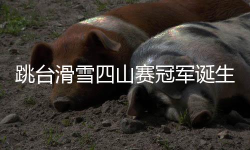 跳台滑雪四山赛冠军诞生 波兰选手达维德首次夺冠