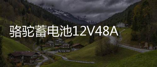 骆驼蓄电池12V48AH适配五菱荣光之光北汽58500低温强劲汽车电瓶