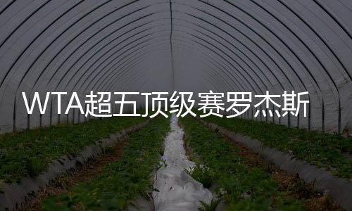 WTA超五顶级赛罗杰斯杯首轮 大威与普娃携手晋级次轮