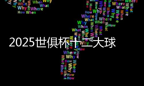 2025世俱杯十二大球场巡礼:马竞成“大冤种”